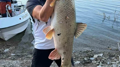 Elazığ'da 70 kiloluk turna yakalandı