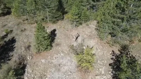 Isparta'da Dronla Kaçak Avcı Yakalandı