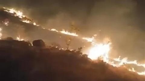 Konya'da mera yangını