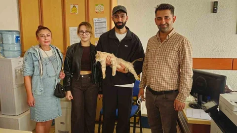 Nazilli'de kaybolan kedi, mikroçip sayesinde sahibine ulaştı