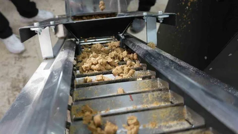 Düzce’de sokak hayvanları için mama üretim tesisi kuruldu