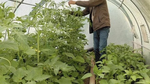 Berberlikten arta kalan zamanını doğaya ayırıyor