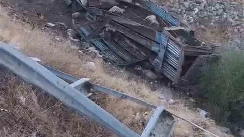 Bingöl’de hayvan taşıyan kamyon şarampole yuvarlandı: 2 yaralı, çok sayıda küçükbaş telef oldu