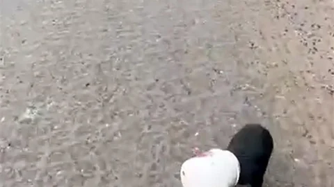 Yalova’da kamyon sürücüsü kafası plastik kaba sıkışan yavru köpeği kurtardı