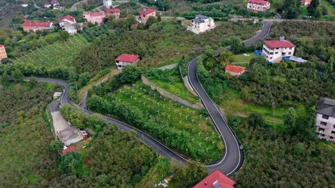 Ordu'da asfalt çalışmaları devam ediyor