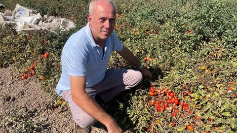 Londra’da kazandıklarıyla memleketine toprak yatırımı yaptı
