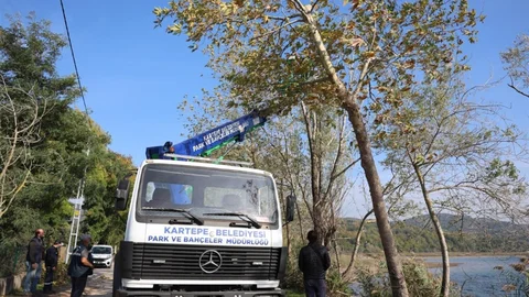 Kartepe’de yeşil alanlara bakım yapılıyor