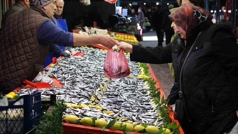 Bolu'da Hamsi Talebi Arttı