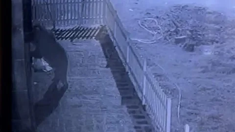 Rize'de kapıyı ayı zorluyordu