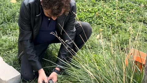 Öğretmenin fark ettiği yaralı güvercin kurtarıldı