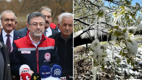 Mersin’i de Vuran Tarımda Don Zararı Telafi Ediliyor: 13 Milyar TL Ödeme Müjdesi!