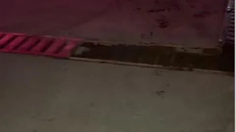 Hadımköy'de ilginç bir kaza yaşandı