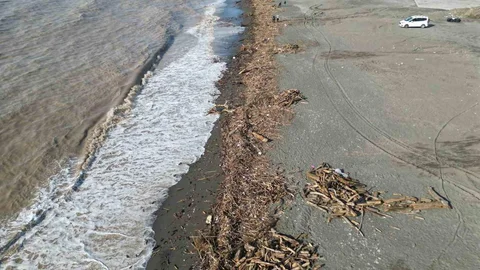 Hatay'da şiddetli yağış sonrası Akdeniz kıyıları kütüklerle kaplandı