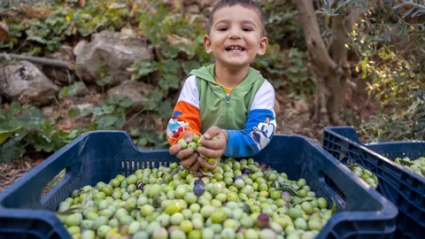 Mersin Büyükşehir’in Fidan Destekleri Meyvesini Veriyor
