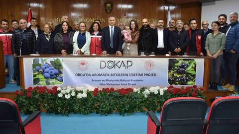 Ordu'da maviyemiş ve aronya üretimi 180 dekara yükseliyor