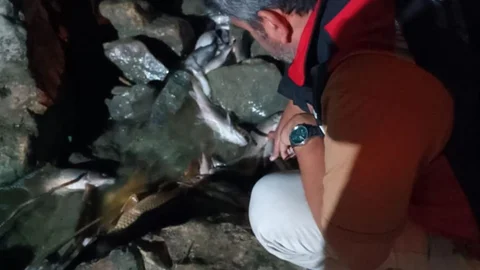 Ceyhan Nehri'nde kirlilik incelemesi yapıldı