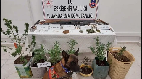 Eskişehir'de uyuşturucu ve silah bulunduran 7 şüpheli jandarma tarafından yakalandı.