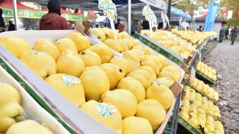 Kartepe'de Eşme Ayva Festivali