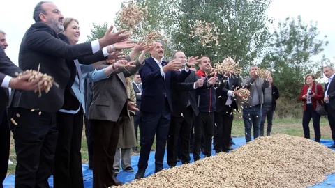 Edirne'de Fıstık Şenliği