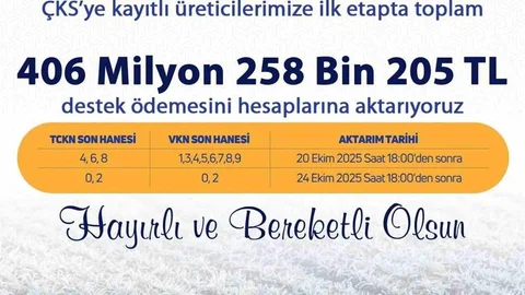 Denizli'de zirai dondan etkilenen üreticilere 406 milyon TL'lik destek ödemesi yapılacak.