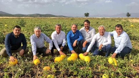 Denizli'de Acıpayam Kavunu tescillendi