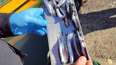 Zonguldak'ta 153 tekneye e-seyir onayı verildi