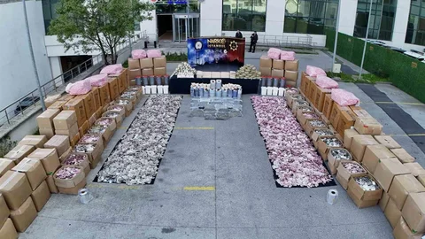 İstanbul'da büyük uyuşturucu operasyonu gerçekleştirildi