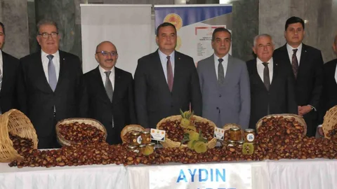 Aydın'da sezonun ilk kestanesi 550 TL'den satıldı