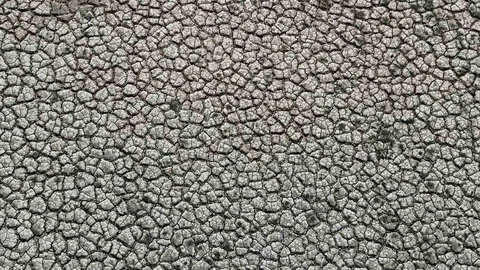 Adana'da Kuraklık Etkisini Gösteriyor