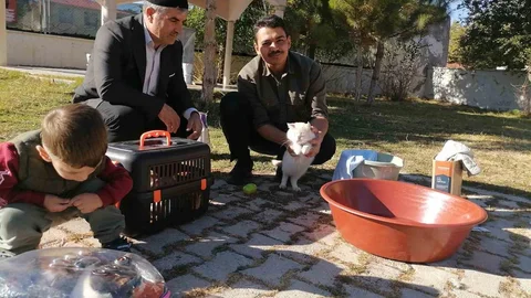 Hınıs'ta İmam Yunus Çaykara, kedilere bebek gibi bakıyor