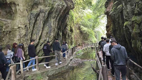 Muğla'da gençler ekolojik etkinlikte bir araya geldi