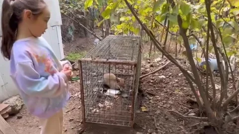 Karabük'te küçük kızın tilki için söylediği sözler duygusal anlar yaşattı