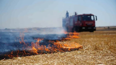 İpsala'da anız yakanlara ceza kesmekten yorulduk