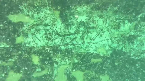 Adıyaman'da 12 bin yıllık kaya resimleri su altında görüntülendi