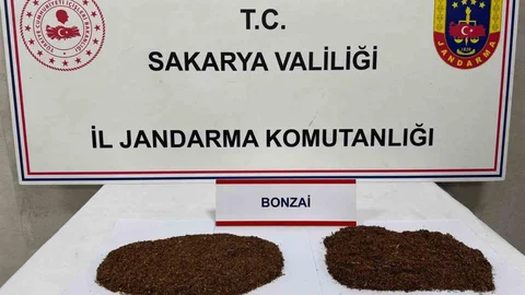 Sakarya'da uyuşturucu ticareti yapan iki kişi tutuklandı