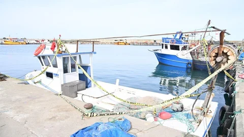 Trabzon'da kayıp balıkçıyı arama çalışmaları sürüyor