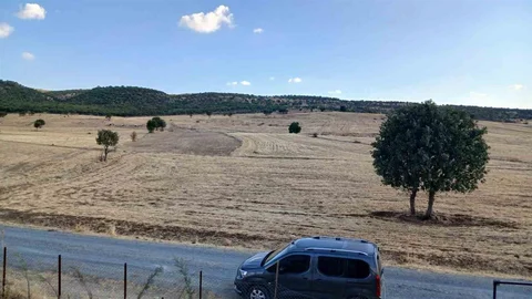 Diyarbakır Kulp’ta sağanak yağış çiftçilerin yüzünü güldürdü