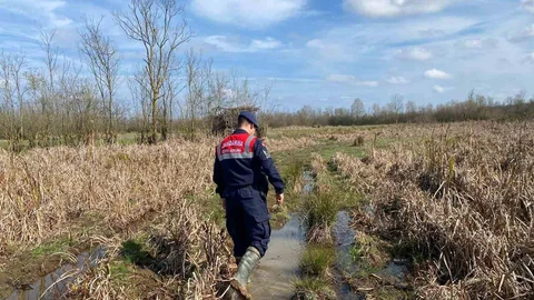 Sakarya'da kaçak avcılıkla mücadele kapsamında 6 avcı kulübesi imha edildi.