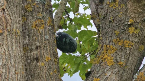 Zonguldak'ta su kuyusunda cansız bedeni bulunan Hasret Akkuzu’nun son mesajı babasına "Eve geliyorum" oldu.
