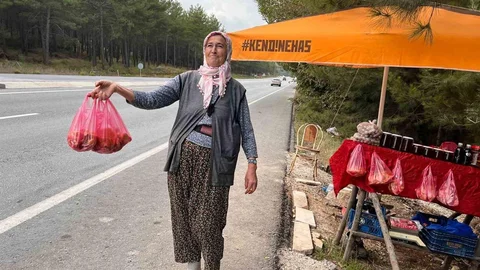 Muğla'da çıntar tezgahlardaki yerini aldı