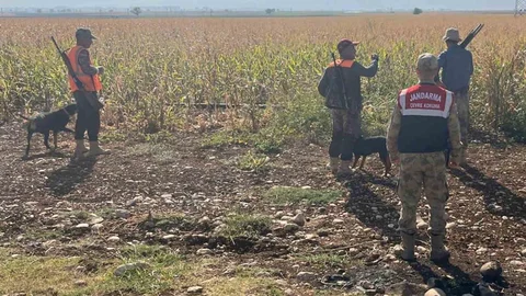 Gaziantep'te yaban domuzları için sürek avı yapıldı