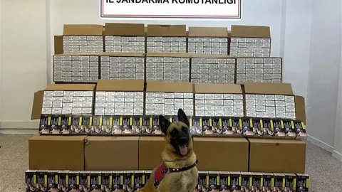 Tokat'ta bandrolsüz makaron ele geçirildi