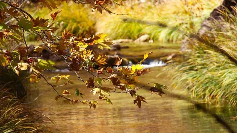 Cödden Vadisi hayran bırakıyor