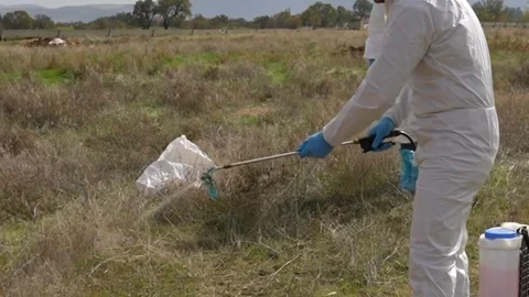Çivril'de şap hastalığına karşı mücadele devam ediyor