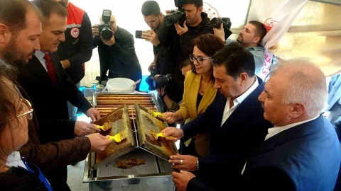 Muğla'da çam balında dünya birinciliği elde edildi