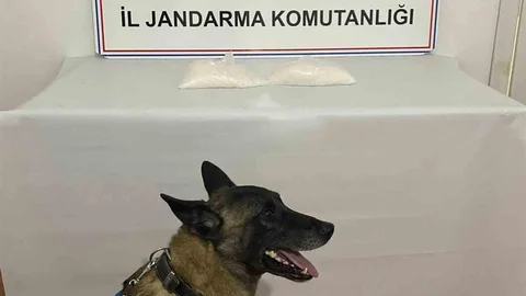 Van'da Uyuşturucu Operasyonu