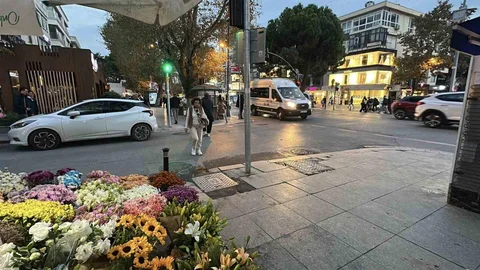 İstanbul'da ünlü oyuncu İrem Helvacıoğlu, eşi ve bebeğiyle yürüyüş yaparken kaza geçirdi.