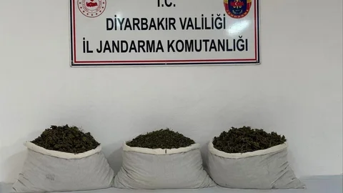 Diyarbakır'da uyuşturucu operasyonu