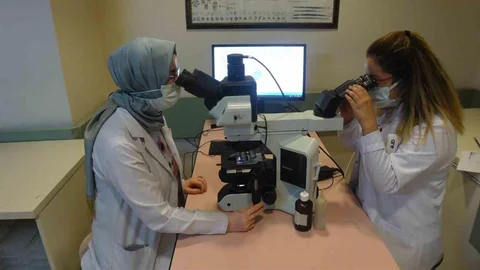 Maymun Çiçeği Virüsü ile ilgili önemli bilgiler paylaşıldı