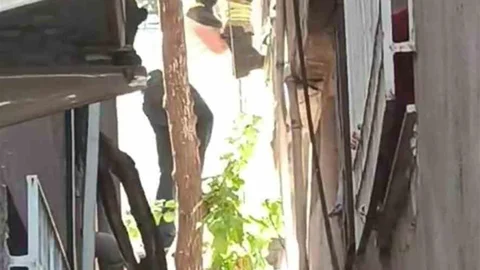 Hatay'da ağaçta asılı kalan şahsı itfaiye ekipleri kurtardı